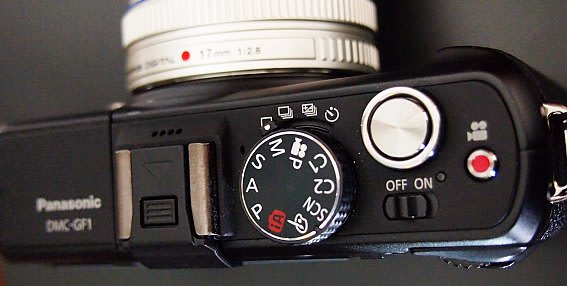 兄弟がやって来た ~Panasonic Lumix DMC-GF1(ジャンク品 兄弟がやって来た ~Panasonic Lumix DMC-GF1(ジャンク品