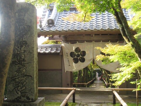 令和6年 第百七回 光悦会・・・1 - 暁庵の茶事クロスロード