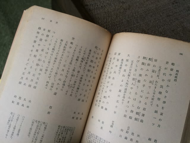 汲み尽くせない魅力、幸田露伴『評釋芭蕉七部集』 - かみつけ岩