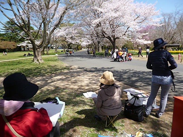 ◇ 戦前 昭和3年 野島康三 写真館撮影 農学者 加藤茂苞