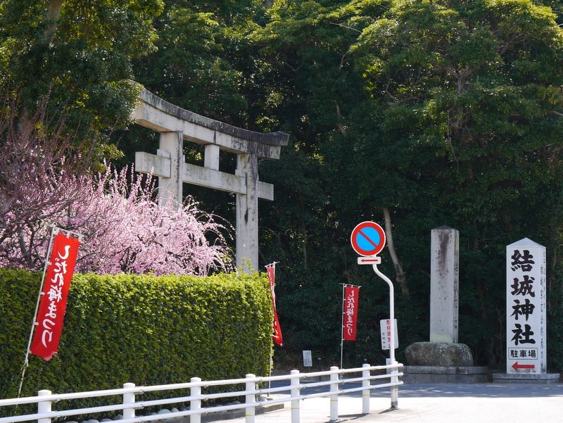 結城神社のしだれ梅に酔う 美杉の小さな庭でおきていること カフェ葉流乃音のつれづれ 結城神社のしだれ梅に酔う 美杉の小さな庭でおきていること カフェ葉流乃音のつれづれ