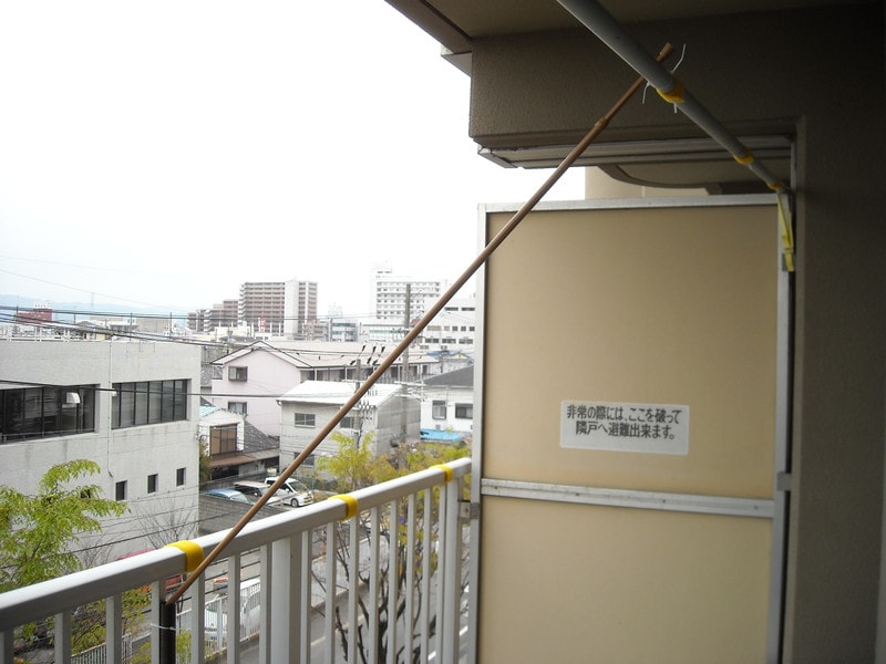 ベランダマンゴー族の新居が完成 やまかづの気ままにマンゴー