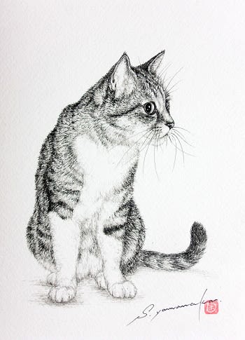 新作ペン画 元気の源 新作ペン画 元気の源