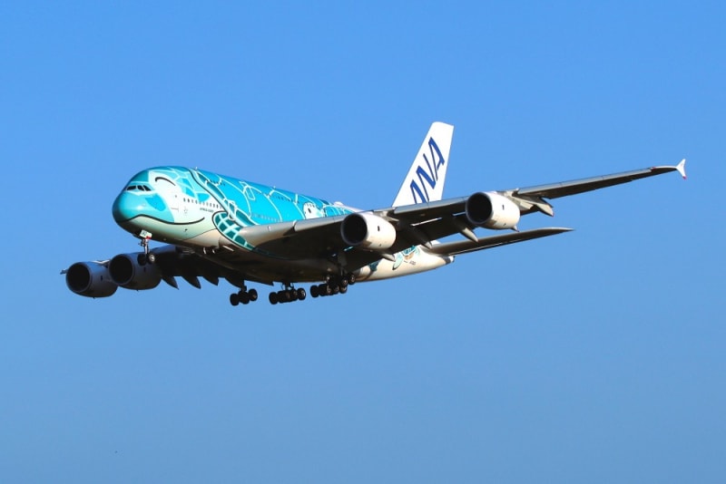 全日空 「 エアバス A380 フライングホヌ カイ 」 ( A380-841 全日空 「 エアバス A380 フライングホヌ カイ 」 ( A380-841