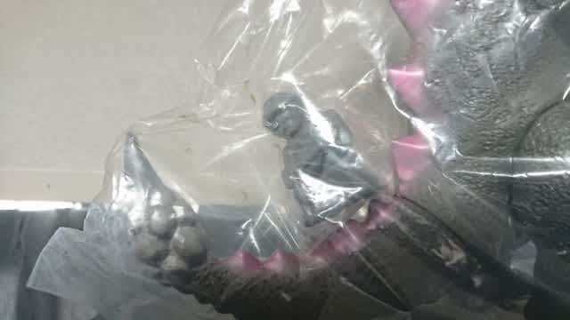 宇宙生物　ソラス　ソフビ　サンガッツ　地球防衛軍 サンガッツ本舗 『THE 地球防衛軍』 宇宙生物ソラス - 無気力な