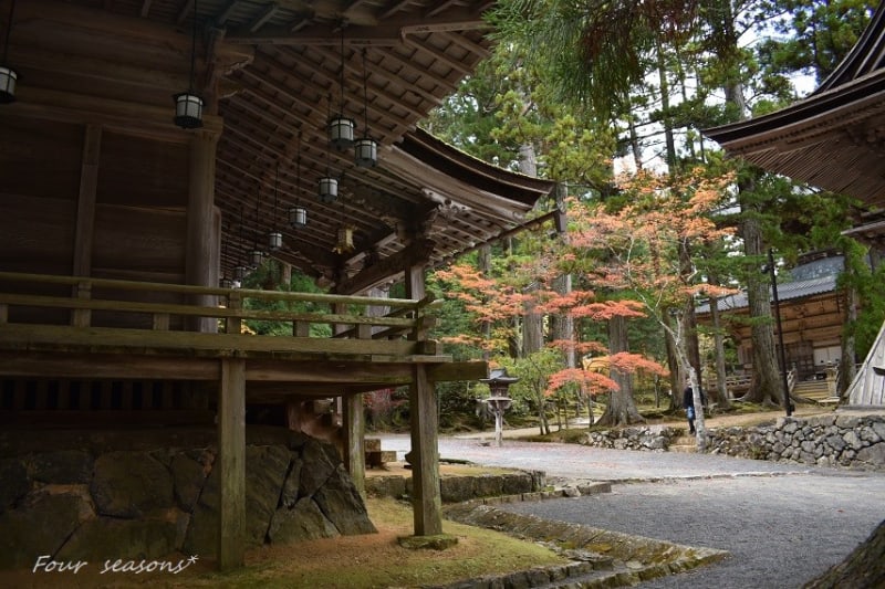高野山　東塔　エッチング 高野山東塔エッチング
