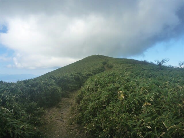 伊豆山稜線歩道 天城峠 三蓋山 猫越岳 仁科峠 魂の山 船原峠 達磨山 だるま山高原レストハウス もみじ林前 関東山歩き わかさぎ電動リール アンド 竹竿 ハンドメイド バイ ミー