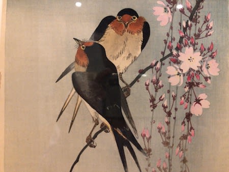 小原古邨「桜に孔雀」本物木版画 （ぎゃらりーおおのブログ