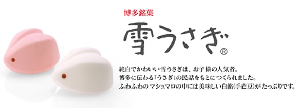 雪うさぎ～♪ - 株式会社葉月の社長ブログ 『うちは技術屋です』