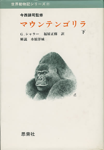 新しい季節 ゴリラの本3．マウンテンゴリラ - 人類学のススメ 自然、風景