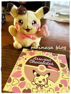 Morozoff × ポケセン ぬいぐるみ付きアソートチョコレート Morozoff × ポケセン ぬいぐるみ付きアソートチョコレート