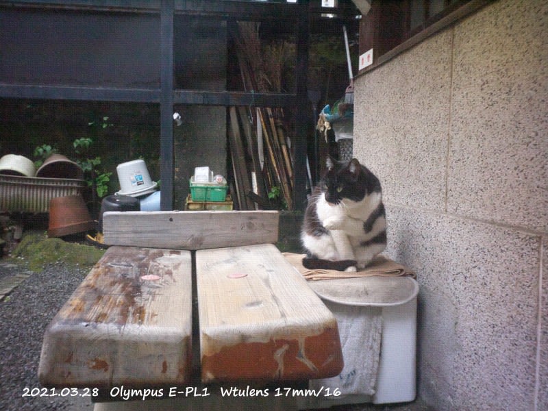 AVENON P.H AIR LENS - ねおん写真記 AVENON P.H AIR LENS - ねおん写真記
