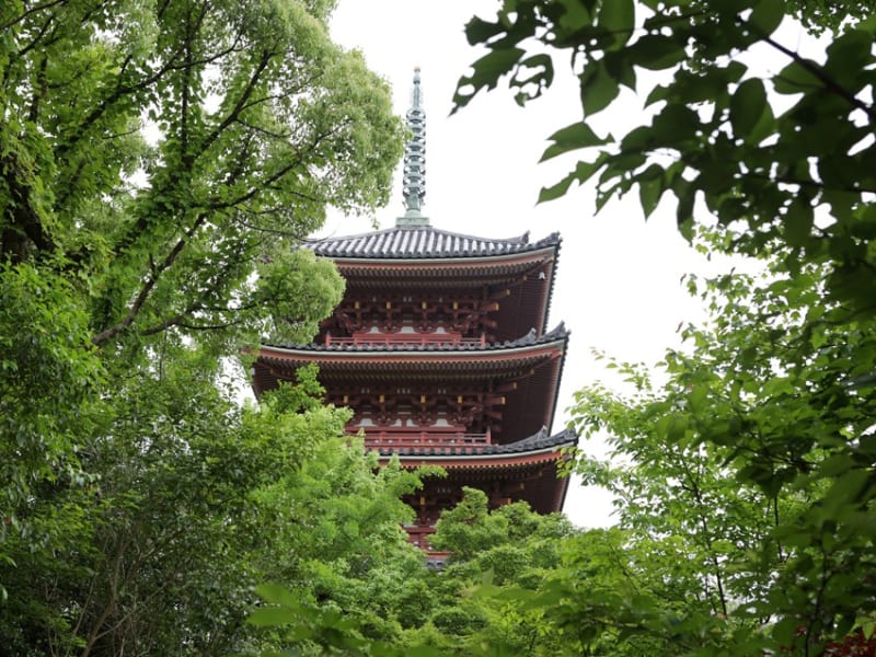 大型本 竹林寺塔記 五重塔再建の記録と塔の源流 昭和61 大型本 竹林寺塔記 五重塔再建の記録と塔の源流 昭和61