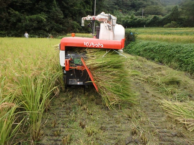 クボタ コンバイン 排わら穂先チェーン 160L20N 2、3、4条刈 等 クボタ コンバイン 排わら穂先チェーン 160L20N 2、3、4条刈 等