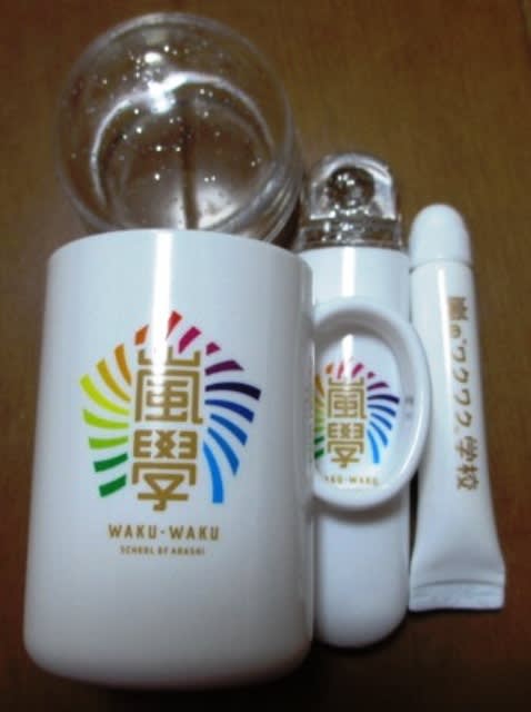嵐のワクワク学校 やすき クリアファイル 嵐のワクワク学校 やすき クリアファイル