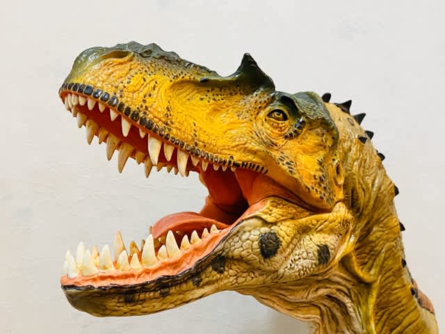 ゴルゴサウルス - MY COLLECTIONS
