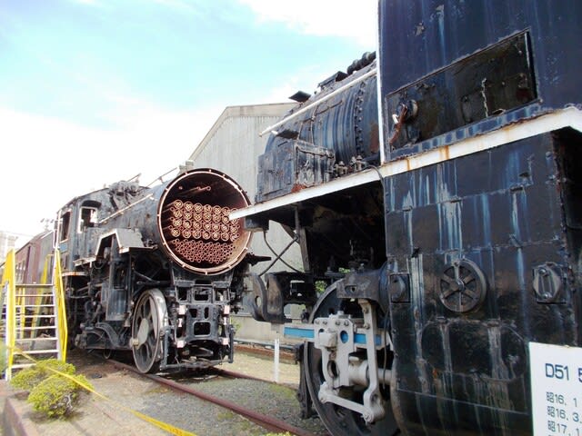 D51 542 国鉄D51形蒸気機関車（カットモデル） - 観光列車から