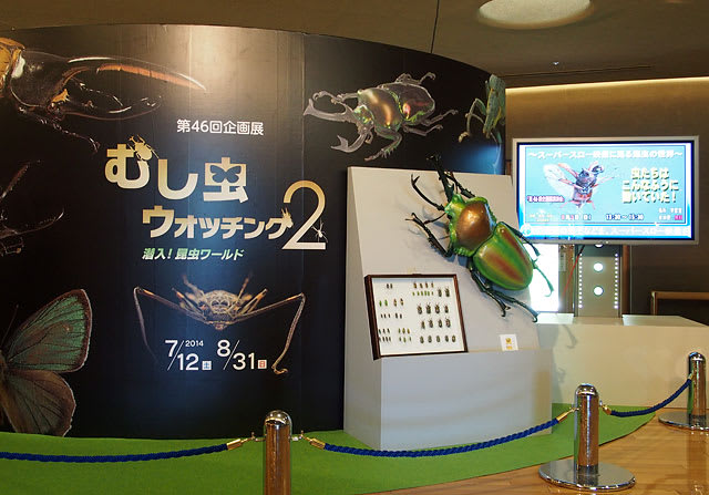 むし 虫 ウォッチング 2』 群馬県立自然史博物館 - グッドぐんま 2 むし 虫 ウォッチング 2』 群馬県立自然史博物館 - グッドぐんま 2