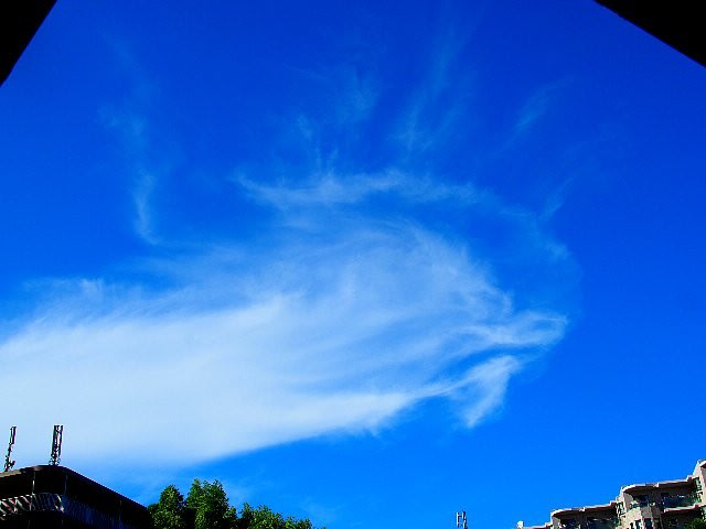 空に吉兆の印、龍雲現る？！ - 庭先の四季