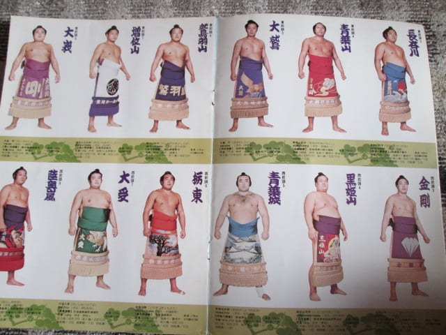 発見!大相撲パンフ50冊 - 気が重いよ…伊那篇 発見!大相撲パンフ50冊 - 気が重いよ…伊那篇
