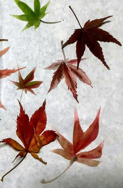 墨彩画で描く 「もみじ 紅葉」落ち葉 - 水墨画・墨彩画家 岡田潤 墨彩画で描く 「もみじ 紅葉」落ち葉 - 水墨画・墨彩画家 岡田潤