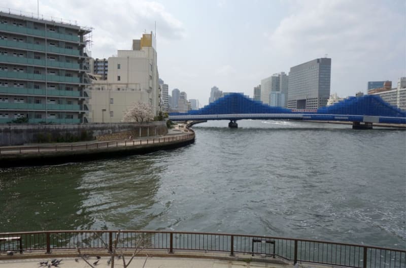 小名木川 桜を絡めて川歩き 4月7日 2019年 - Model 107
