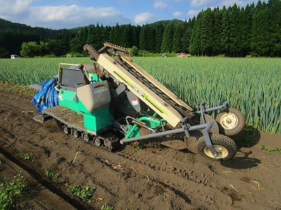 コバシ ソフィー ネギ収穫機