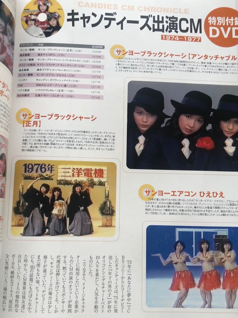 【待望★】 タイムトリッパー キャンディーズ・メモリアル 2004 Autumn voj その他