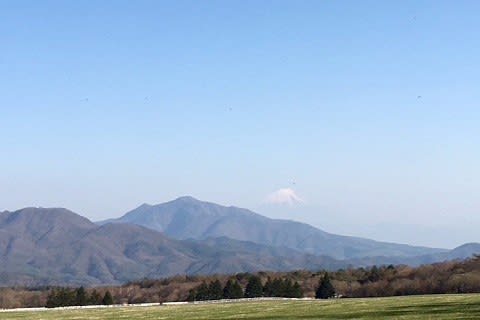 鹿の角を探しに行こう。 - 清泉寮だより