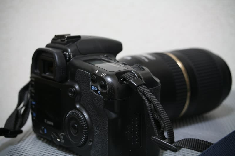 帰ってきたEOS 20D。あれ?そちらの方は? - 川瀬水樹のカワセミ 帰ってきたEOS 20D。あれ?そちらの方は? - 川瀬水樹のカワセミ