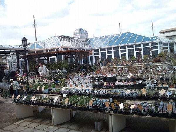 宝塚の園芸店巡り wyz流立体菜園 緑花術 New Vertical Edible Garden Technique 宝塚の園芸店巡り wyz流立体菜園 緑花術 New Vertical Edible Garden Technique