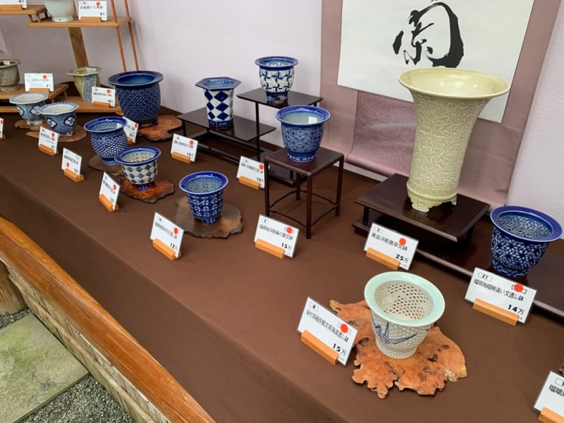 欅窯・三橋俊治個展(11月18〜19日) - 純風満蘭 富貴蘭・風蘭 欅窯・三橋俊治個展(11月18〜19日) - 純風満蘭 富貴蘭・風蘭