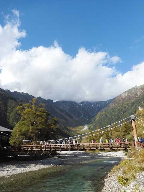 55年ぶりに上高地から見上げた穂高の山々 - 野のアザミ