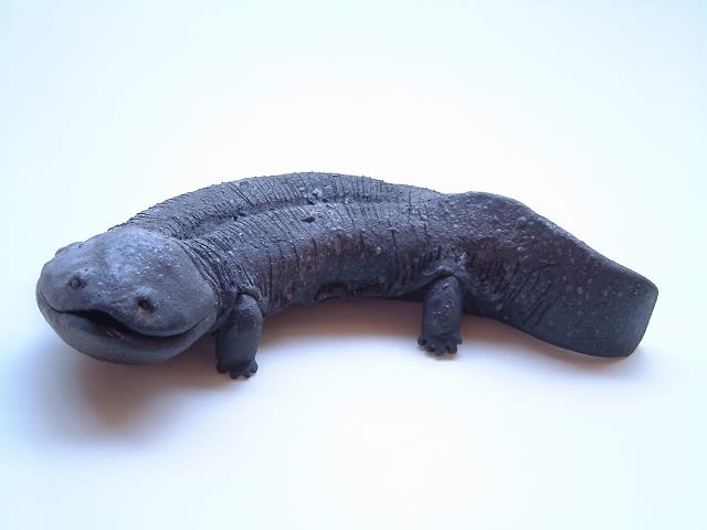 大崎透 オオサンショウウオ 陶の動物園 笠間焼