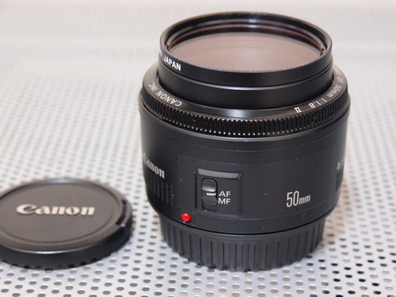 EOS 40Dと6本のレンズ - 川瀬水樹のカワセミ好き! EOS 40Dと6本のレンズ - 川瀬水樹のカワセミ好き!