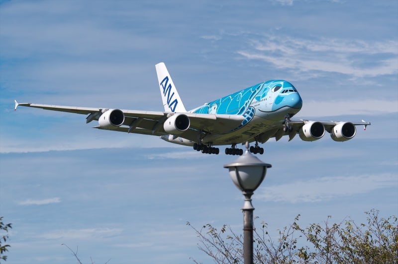 エアバス A380 ANA フライングホヌ 3機セット 1/500(ANA□A380 エアバス A380 ANA フライングホヌ 3機セット 1/500(ANA□A380