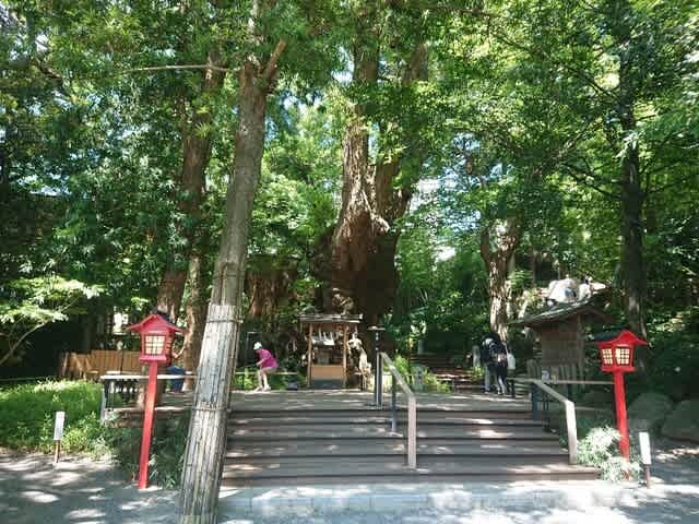 木彫り　3点セット　神様　女性　熱海 710JS9Rl-NL._UF894,1000_QL80_.jpg
