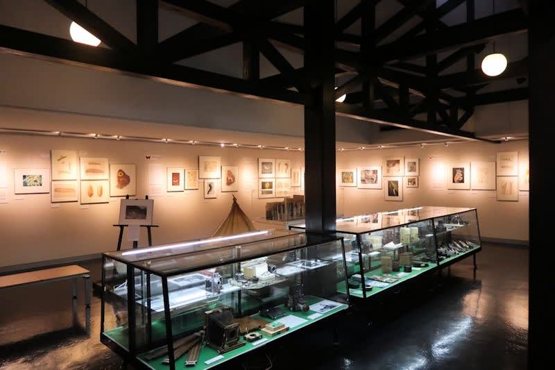 田淵行男作品展『高山蝶 美しいナイン』を観てきました 田淵行男作品展『高山蝶 美しいナイン』を観てきました