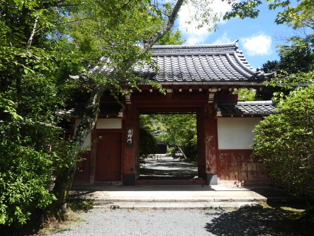 常照寺（じょうしょうじ） - 京都の観光情報：丸竹夷｜京都の