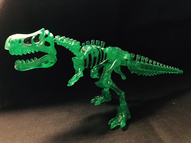 ほねほねザウルス×福井県立恐竜博物館 ケラトサウルス