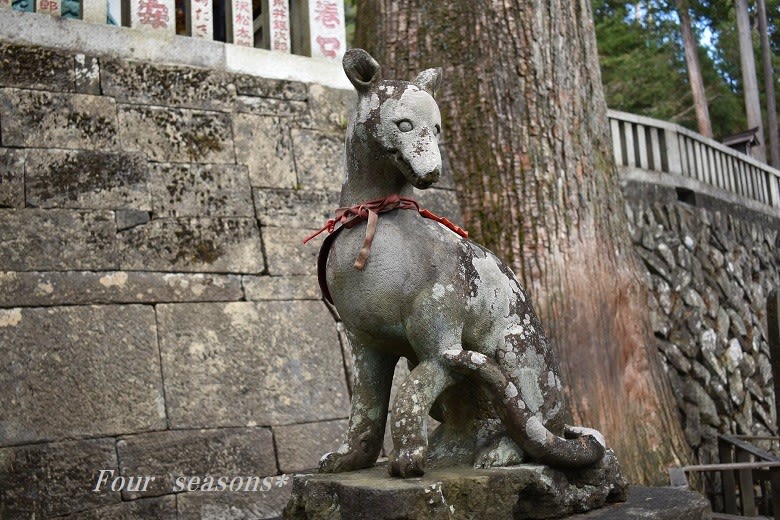 ☆2019 埼玉秩父 * 三峯神社のご眷属(ニホンオオカミ) - 新生 ☆2019 埼玉秩父 * 三峯神社のご眷属(ニホンオオカミ) - 新生