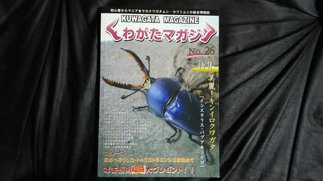クワガタ関連の書物 - クワガタ~スズメバチ等の覚書 クワガタ関連の書物 - クワガタ~スズメバチ等の覚書