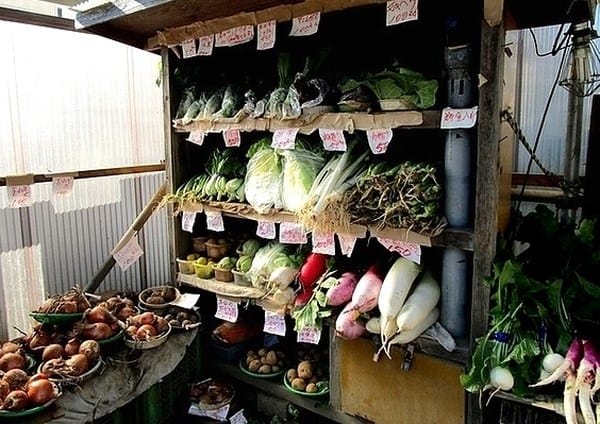 無人販売所の野菜 松風 無人販売所の野菜 松風