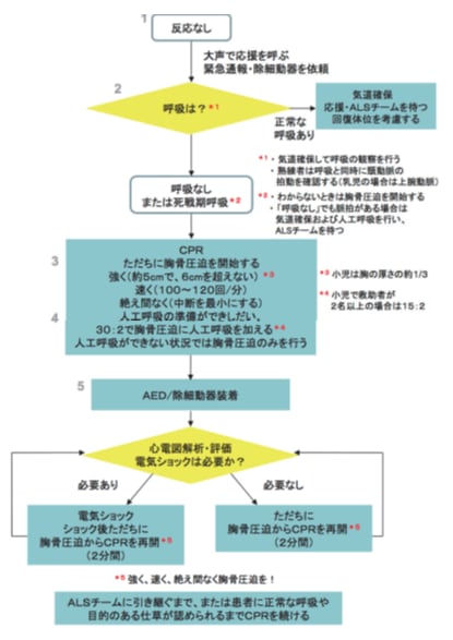 一時救命処置（BLS）講習会 - 東埼玉病院 リハビリテーション科