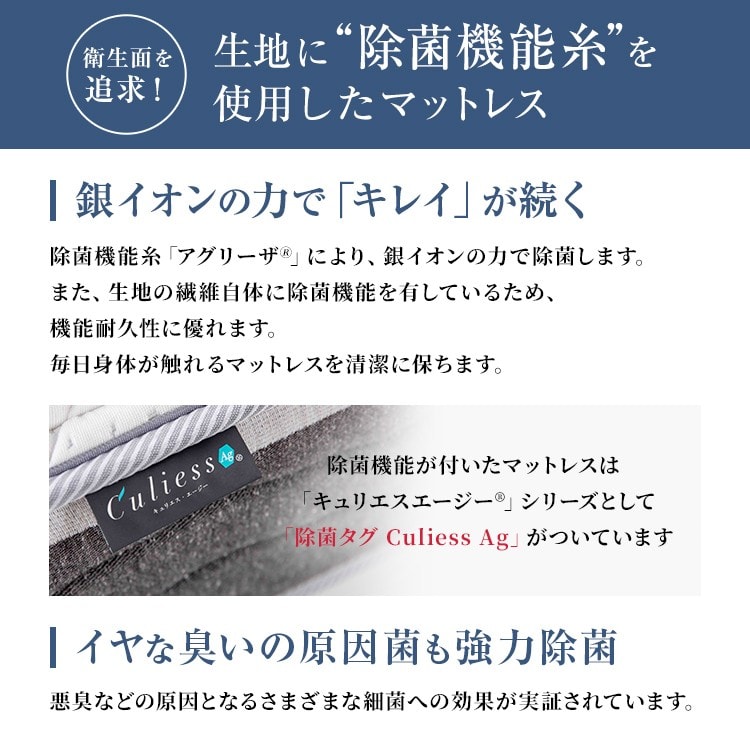 フランスベッド キュリエス・エージー Ag-PW-DLX 【完全保存版 フランスベッド キュリエス・エージー Ag-PW-DLX 【完全保存版