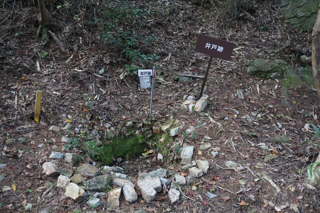 美濃・小野城(本城山城)@岐阜県関市 2024年11月10日 - あみの 美濃・小野城(本城山城)@岐阜県関市 2024年11月10日 - あみの