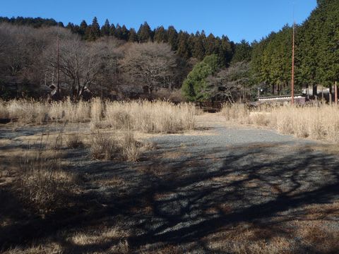 奥武蔵へようこそ 平成28年1月10日 浅間山から金昌寺 野老の里