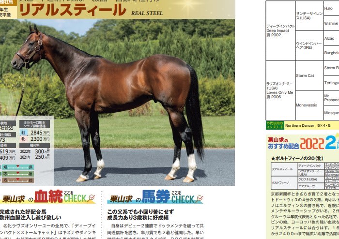T27上◇競走馬に関係する本をまとめて15冊まとめて【軽種馬当歳