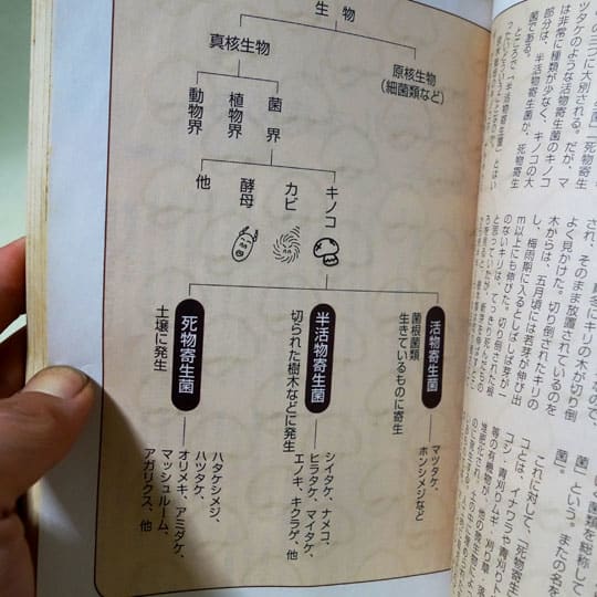 現代農業 2005年9月号 特集・キノコの力を』 - 月刊 きのこ人 現代農業 2005年9月号 特集・キノコの力を』 - 月刊 きのこ人