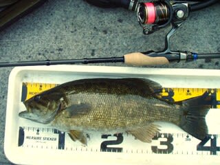 これが魚を獲るための竿、なのか・・・ Dスタイル ブルー